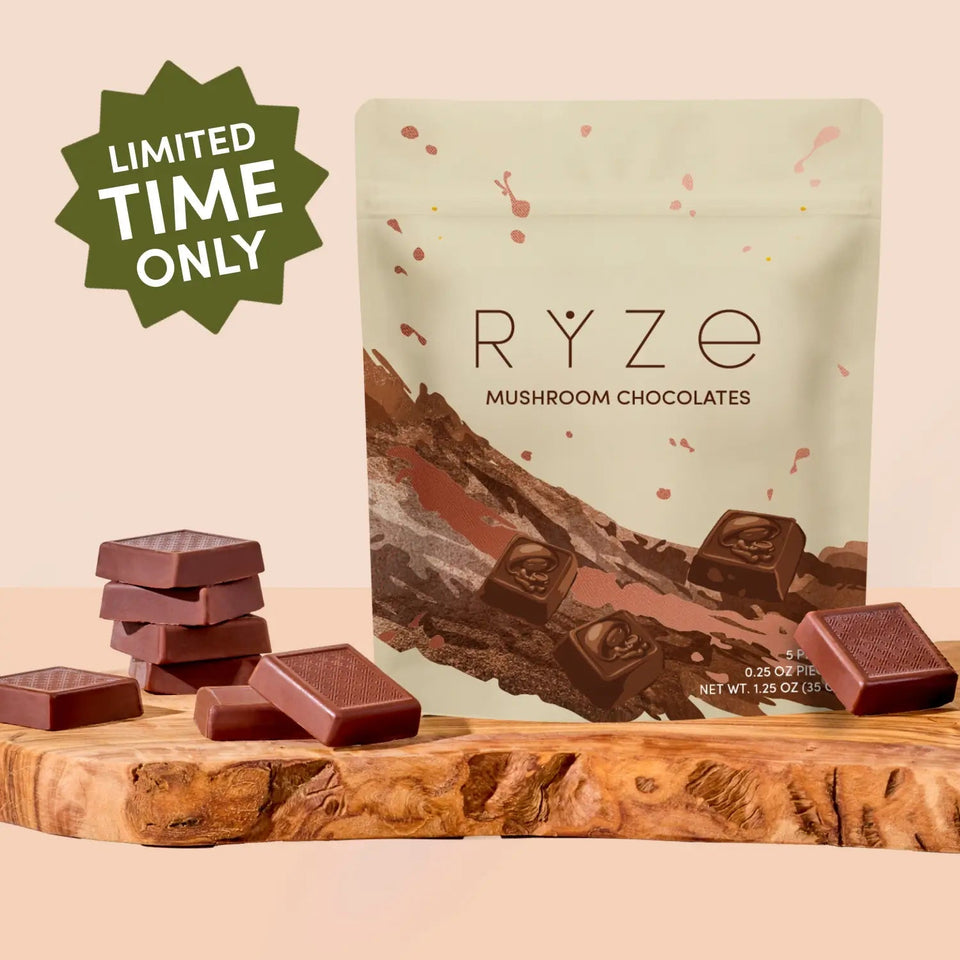 Mushroom Chocolates Rye (15 pieces) - Soft Evening Cup